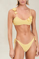 Devon Windsor - Ammie Bottom - Lemondrop