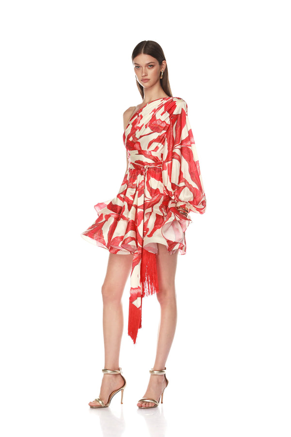 Bronx and Banco - Bedouin Palm One Sleeve Mini Dress - Red Multi