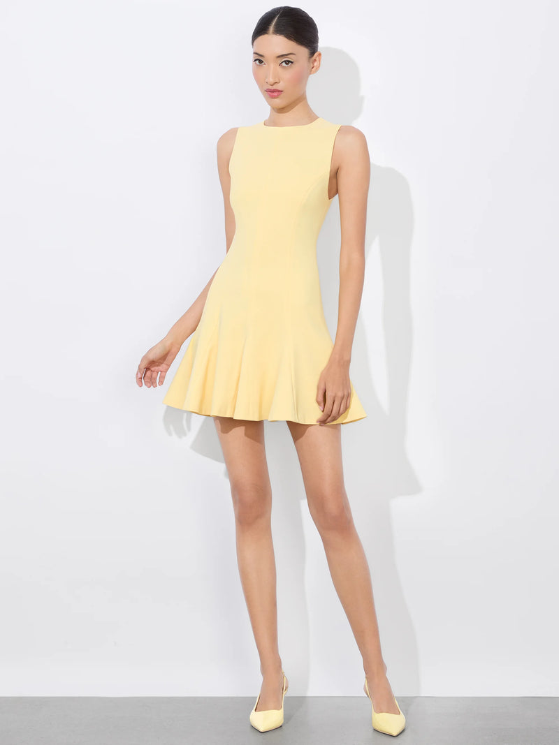 Alice + Olivia - Isa Crewneck Mini Dress