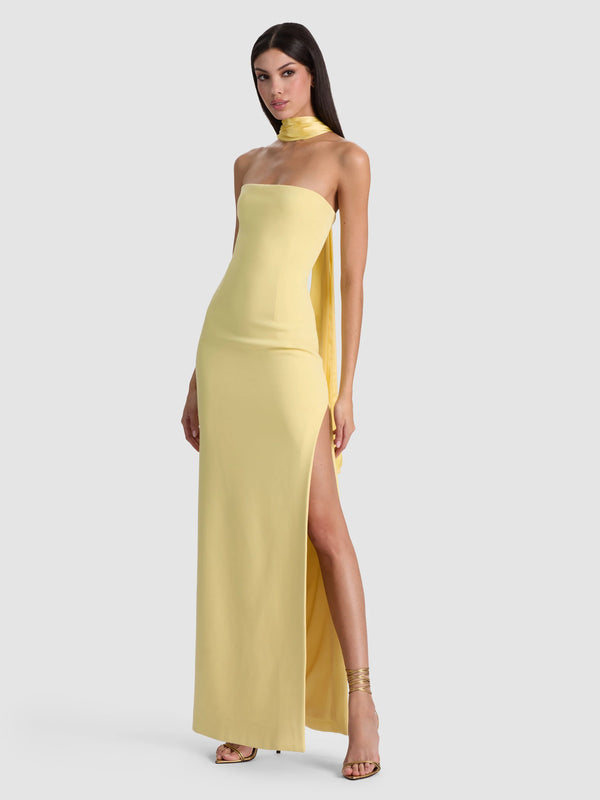 alice and olivia strapless maxi dress Doreen Maxi Dress