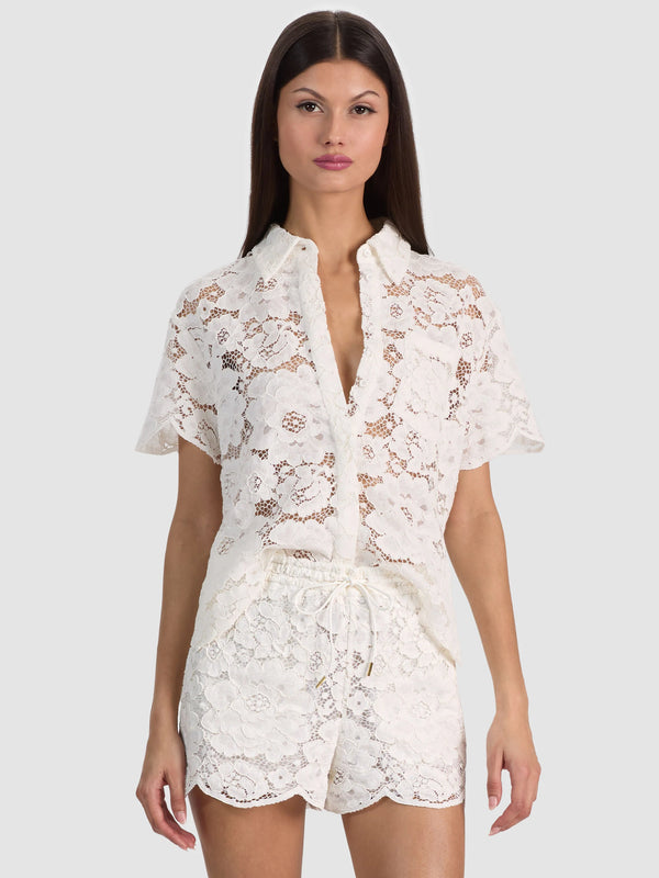 Alice + Olivia | Your favorite designer brand at Jessie Boutique