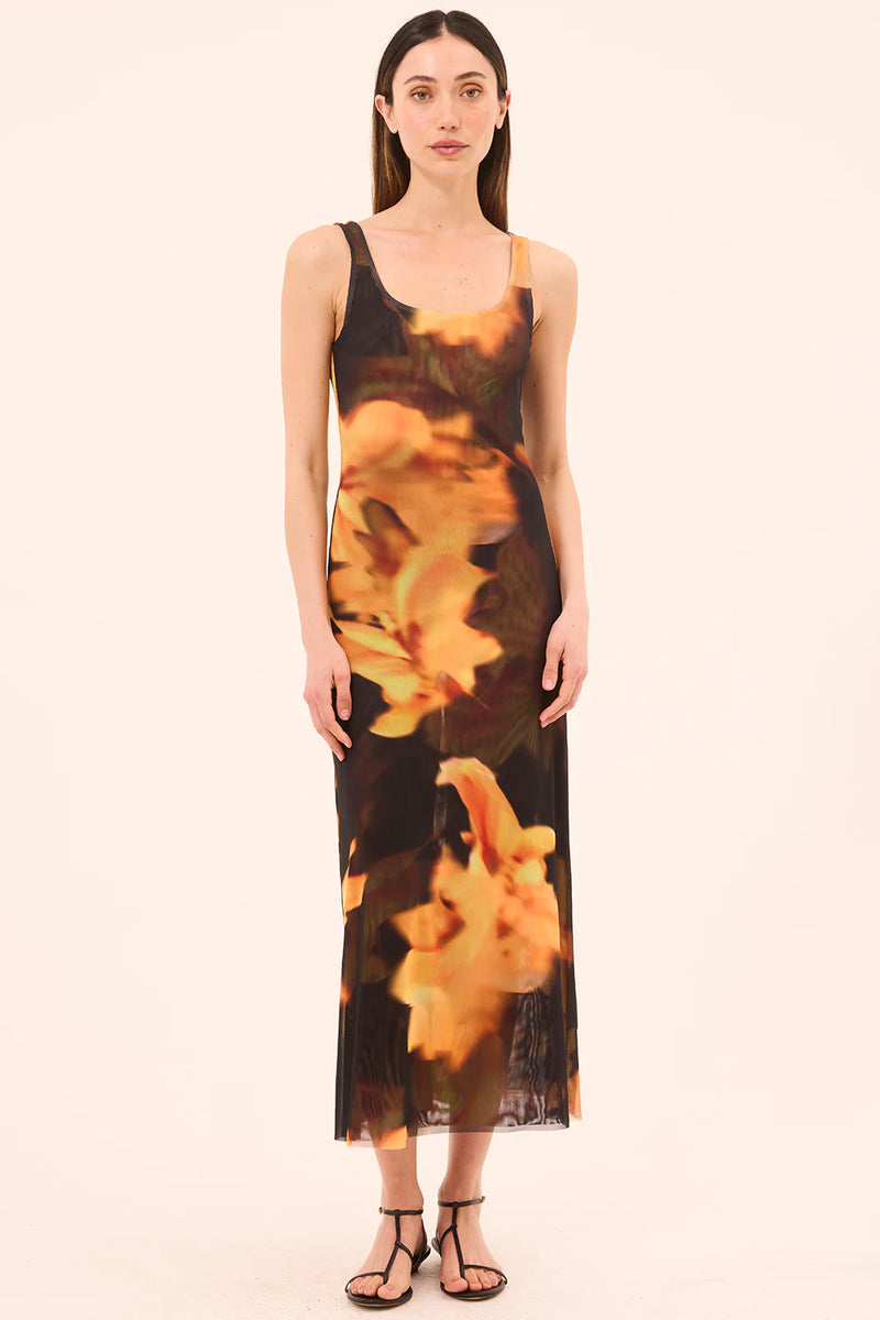 Misa - Khloe Dress - Yellow Flora