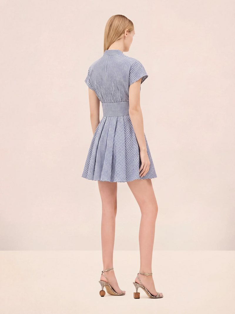 Alexis Alizee Dress in Navy,White