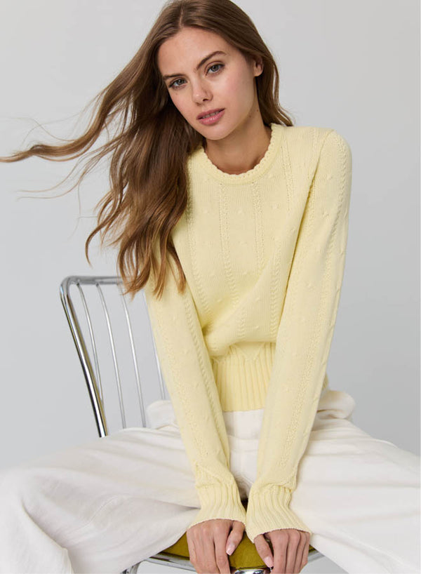 Autumn Cashmere - Cropped Crew w/ Zig Zag Bottom - Chickadee