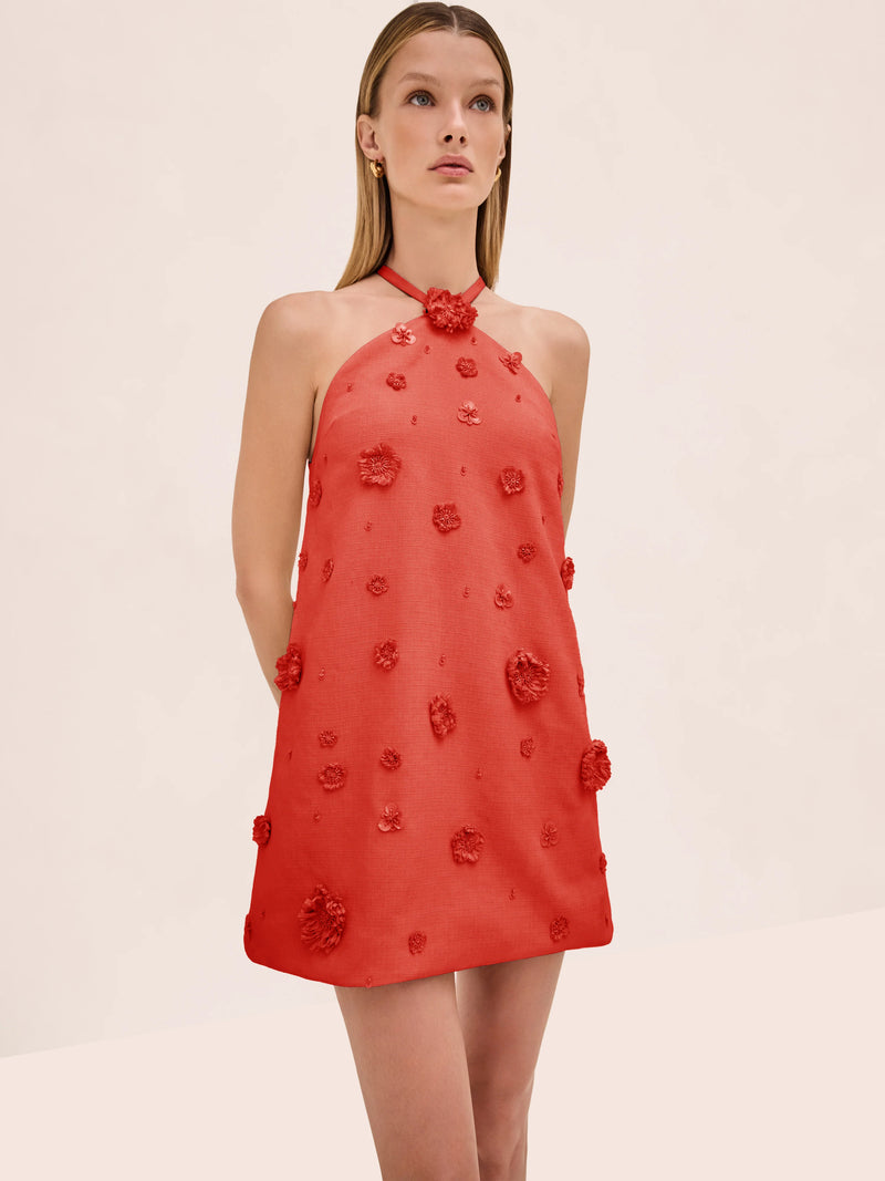 Alexis - Milaa Dress - Terracotta Raffia