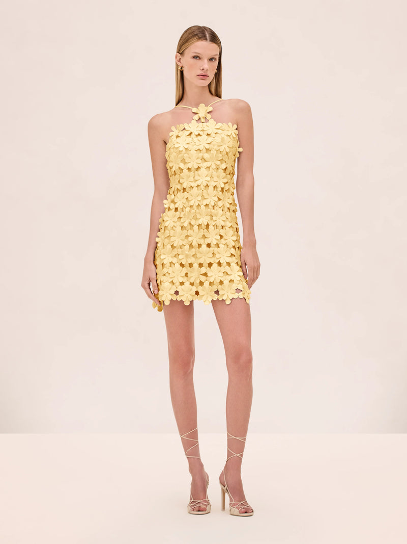 Alexis - Lily Dress - Lemon