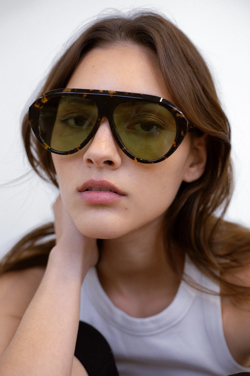 Past Midnight - The Icon - Tortoise