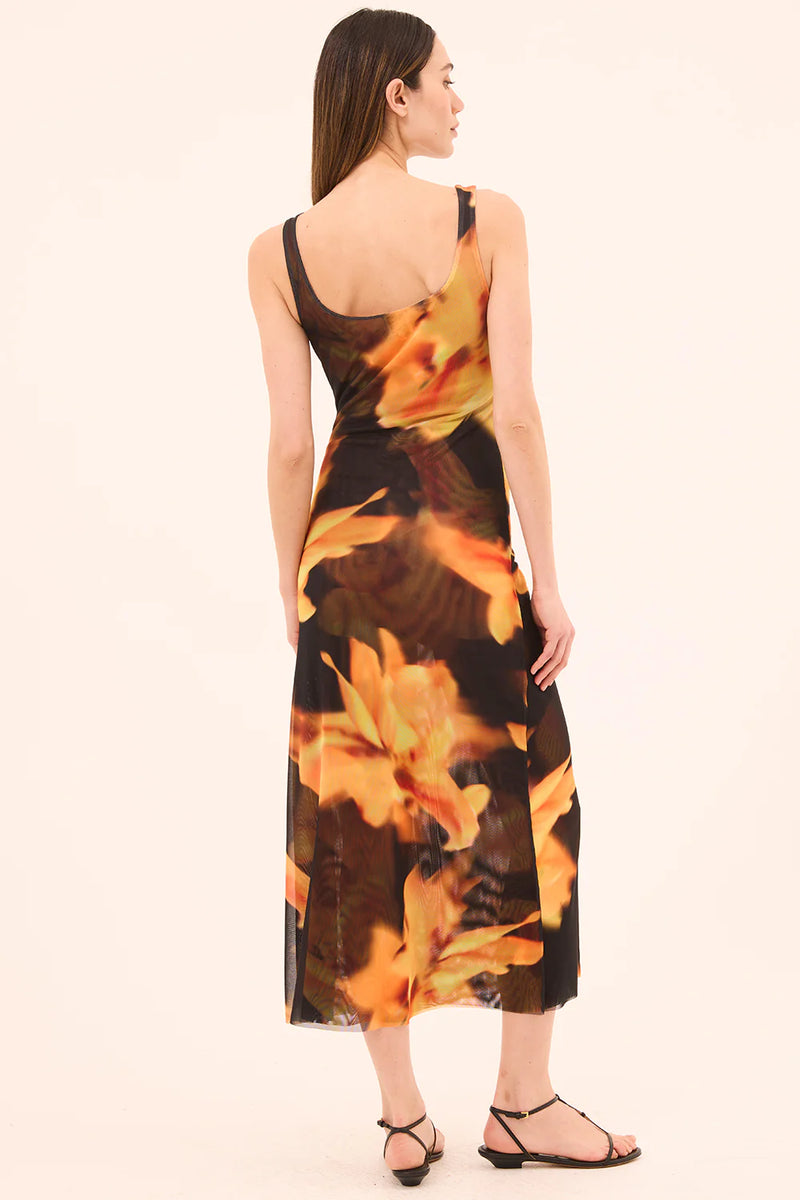 Misa - Khloe Dress - Yellow Flora
