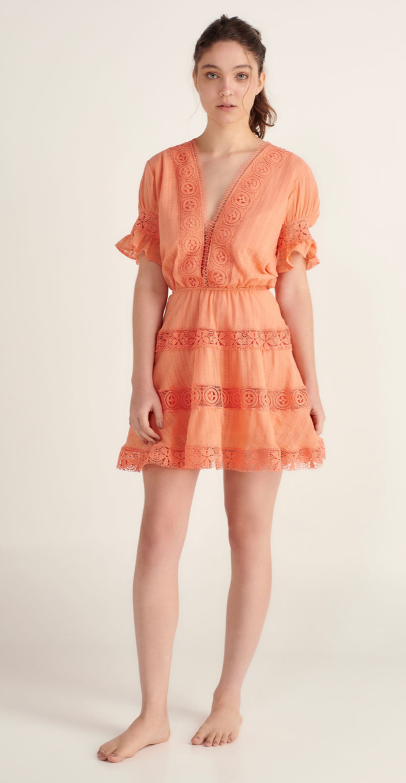 Peixoto - Ora Dress - Clementine Crush